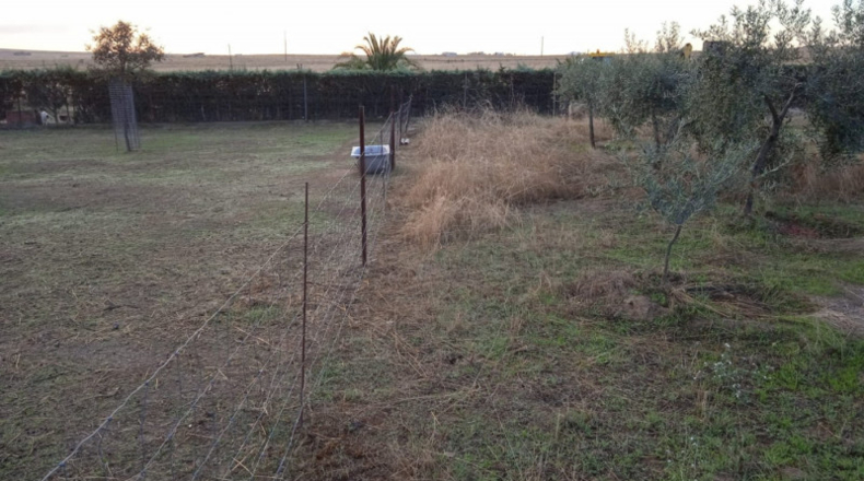 Cáceres - Sierra de Fuentes - 3200m2