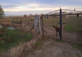 Non-developable land for sale on España, Sierra de Fuentes, ref: TR116367 photo