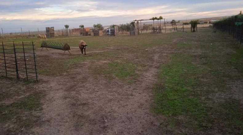 Cáceres - Sierra de Fuentes - 3200m2