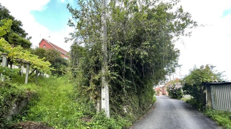 Pontevedra - Moaña - 186m2