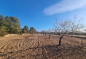 Terreno no urbanizable en venta en la España, el Perelló, ref: TR121166 foto