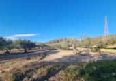 Terreno no urbanizable en venta en la España, el Perelló, ref: TR121166 foto
