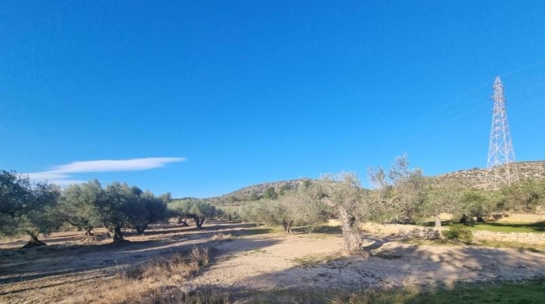 Tarragona - el Perelló - 15028m2