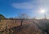 Terreno no urbanizable en venta en la España, el Perelló, ref: TR121166 foto