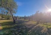 Terreno no urbanizable en venta en la España, el Perelló, ref: TR121166 foto
