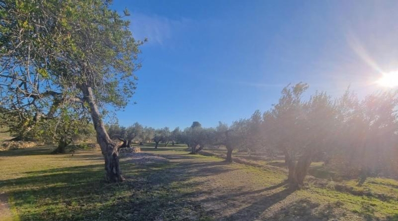 Tarragona - el Perelló - 15028m2