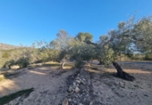 Terreno no urbanizable en venta en la España, el Perelló, ref: TR121166 foto
