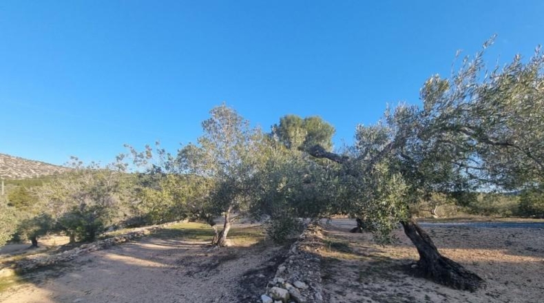 Tarragona - el Perelló - 15028m2