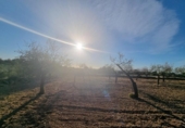 Terreno no urbanizable en venta en la España, el Perelló, ref: TR121166 foto