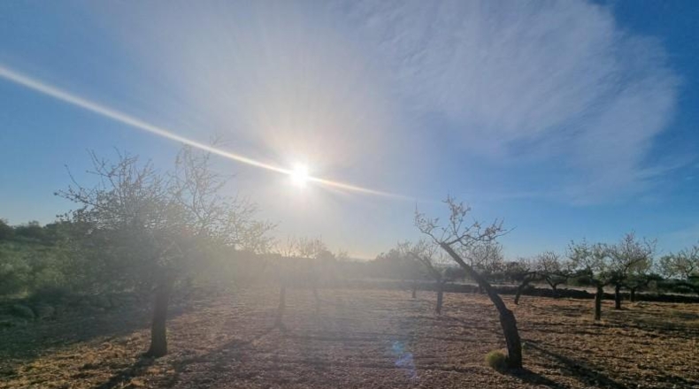 Tarragona - el Perelló - 15028m2