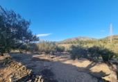 Terreno no urbanizable en venta en la España, el Perelló, ref: TR121166 foto