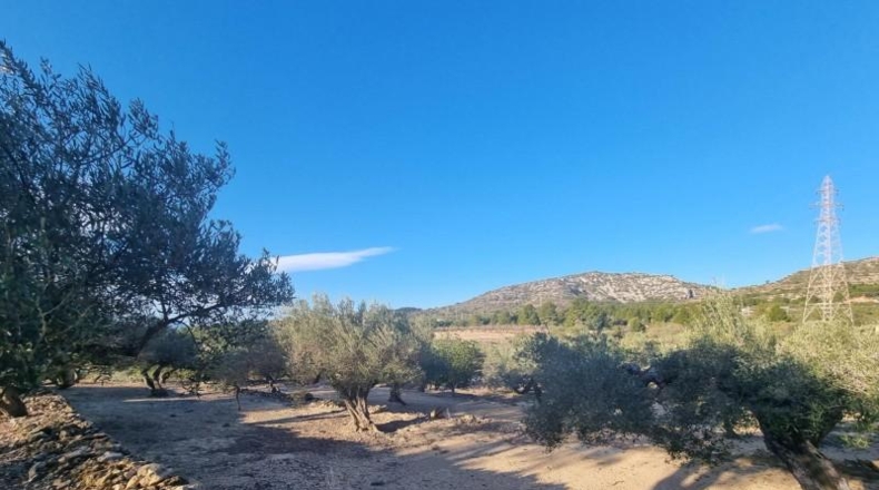 Tarragona - el Perelló - 15028m2