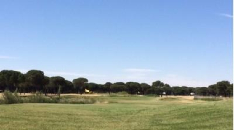 Valladolid - Aldeamayor de San Martín - 1013m2