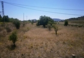 Land suitable for development for sale on España, Monóvar, ref: TR122106 photo