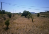 Land suitable for development for sale on España, Monóvar, ref: TR122106 photo