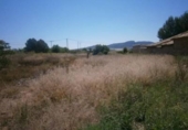 Land suitable for development for sale on España, Monóvar, ref: TR122106 photo