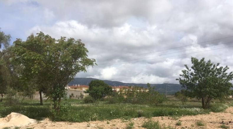 Jaén - Úbeda - 1200m2