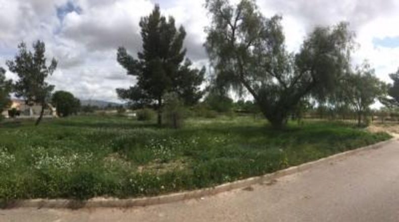 Jaén - Úbeda - 1200m2