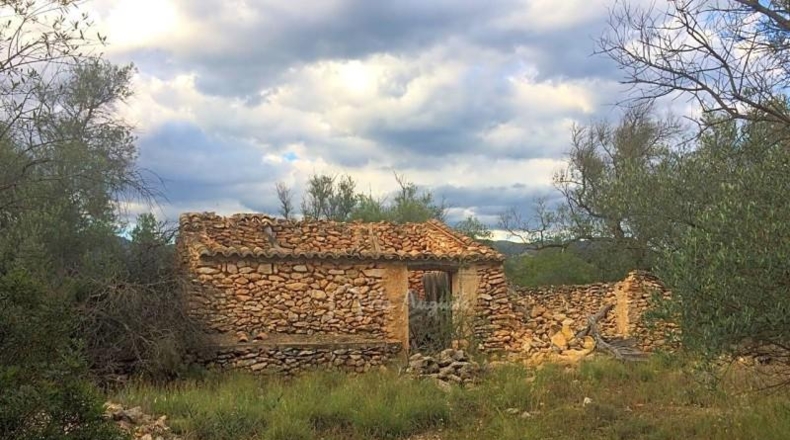 Tarragona - Tivenys - 30051m2