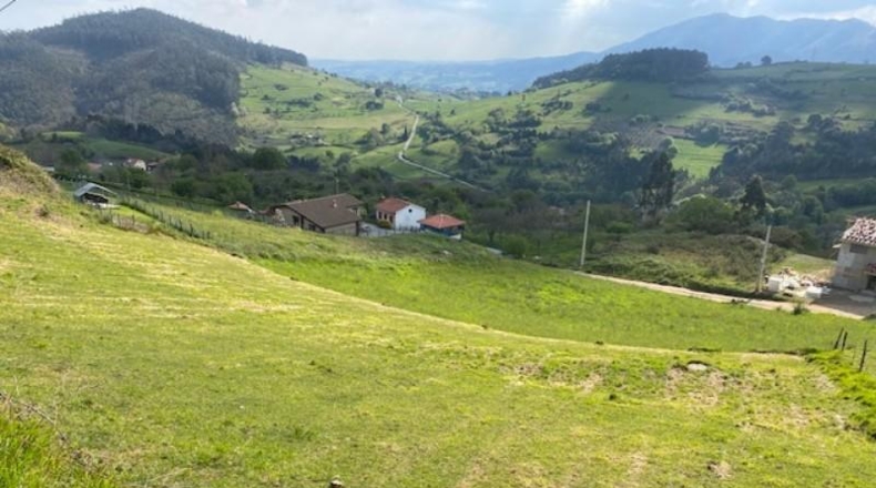 Asturias - Pidri - 1172m2
