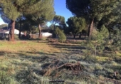 Sòl urbà en venda a la España, Valdestillas, ref.: TR124144 foto