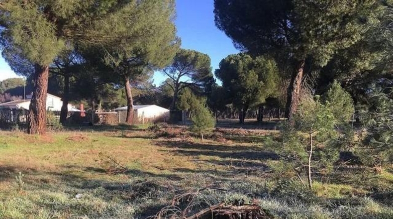 Valladolid - Valdestillas - 1225m2
