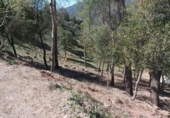 Parcel·la urbanitzable en venda a la España, Castellar del Vallès, ref.: TR119944 foto