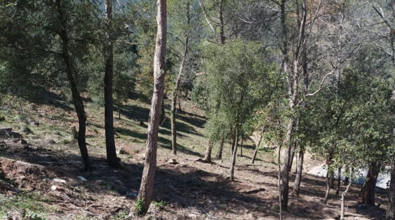 Barcelona - Castellar del Vallès - 847m2