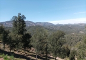 Parcel·la urbanitzable en venda a la España, Castellar del Vallès, ref.: TR119944 foto