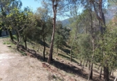 Parcel·la urbanitzable en venda a la España, Castellar del Vallès, ref.: TR119944 foto