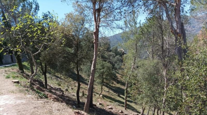 Barcelona - Castellar del Vallès - 847m2