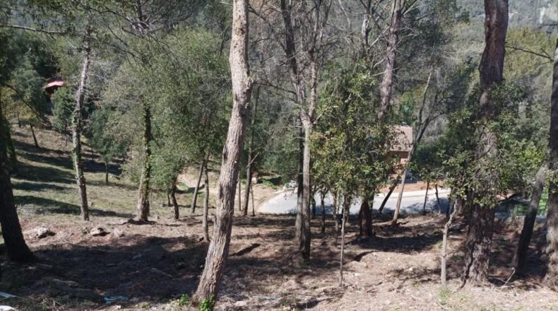 Barcelona - Castellar del Vallès - 847m2
