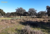 Non-developable land for sale on España, Badajoz, ref: TR120050 photo