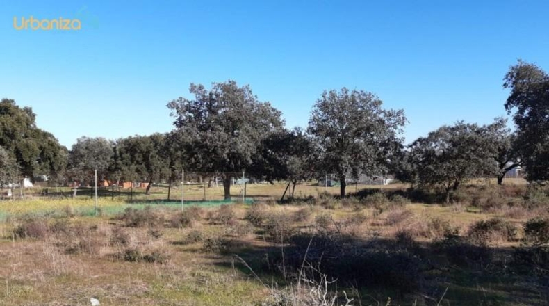 Badajoz - Badajoz - 5000m2