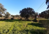 Non-developable land for sale on España, Badajoz, ref: TR120050 photo