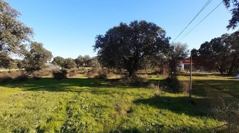 Badajoz - Badajoz - 5000m2