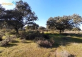 Non-developable land for sale on España, Badajoz, ref: TR120050 photo