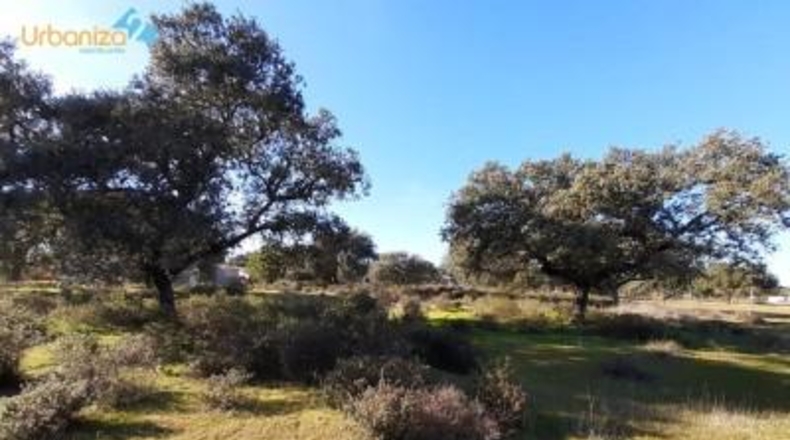 Badajoz - Badajoz - 5000m2