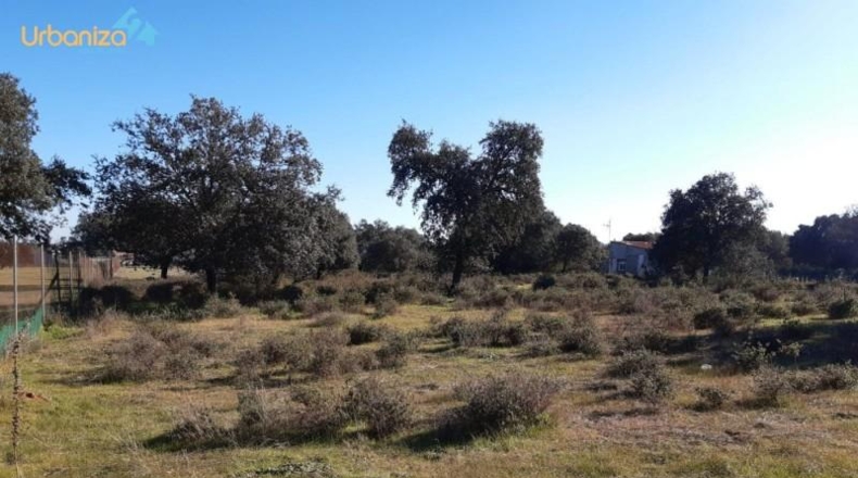 Badajoz - Badajoz - 5000m2