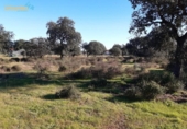 Non-developable land for sale on España, Badajoz, ref: TR120050 photo