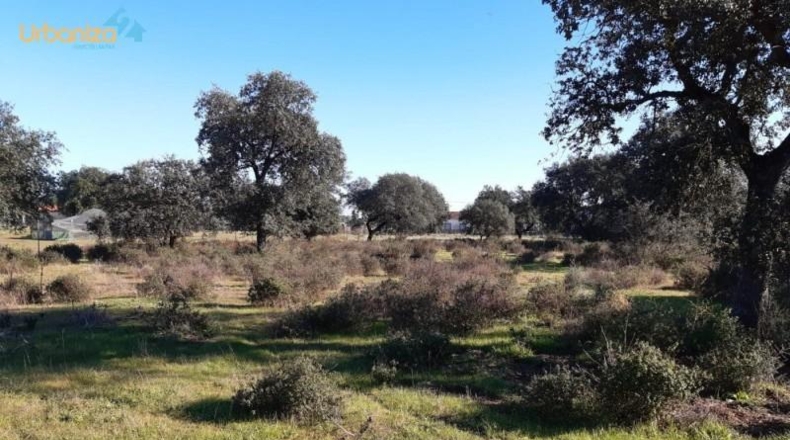 Badajoz - Badajoz - 5000m2