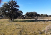 Non-developable land for sale on España, Badajoz, ref: TR120050 photo