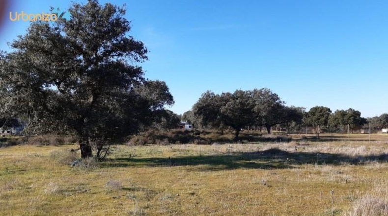 Badajoz - Badajoz - 5000m2