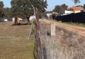 Non-developable land for sale on España, Badajoz, ref: TR120050 photo