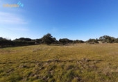 Non-developable land for sale on España, Badajoz, ref: TR120050 photo