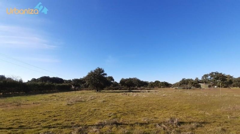 Badajoz - Badajoz - 5000m2