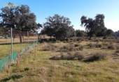 Non-developable land for sale on España, Badajoz, ref: TR120050 photo