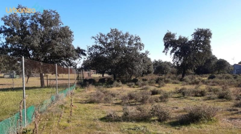Badajoz - Badajoz - 5000m2