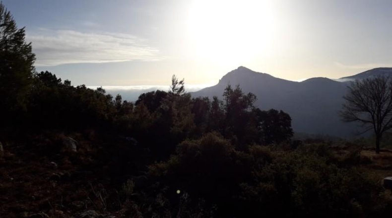 Múrcia - Moratalla - 50000m2