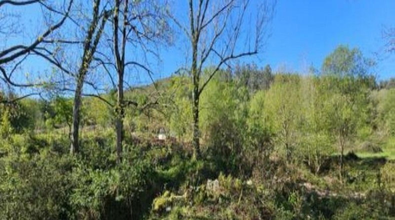 Cantabria - Santa María de Cayón - 35000m2